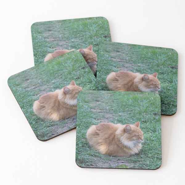Item preview, Sleepy kitty  designed and sold by McFleur's Lens.