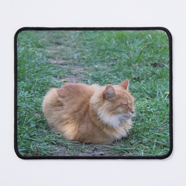 Item preview, Sleepy kitty designed and sold by McFleur's Lens.