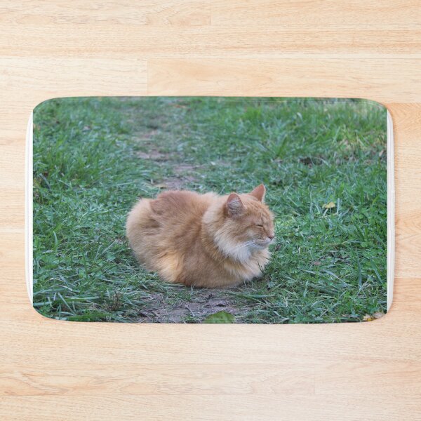Item preview, Sleepy kitty  designed and sold by McFleur's Lens.