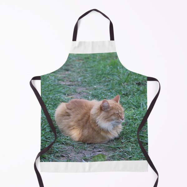 Item preview, Sleepy kitty designed and sold by McFleur's Lens.