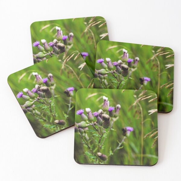 Item preview, Beautiful thistles designed and sold by CanadianWild418.