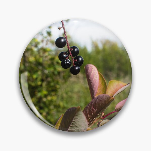 Item preview, Plants in the fall designed and sold by CanadianWild418.