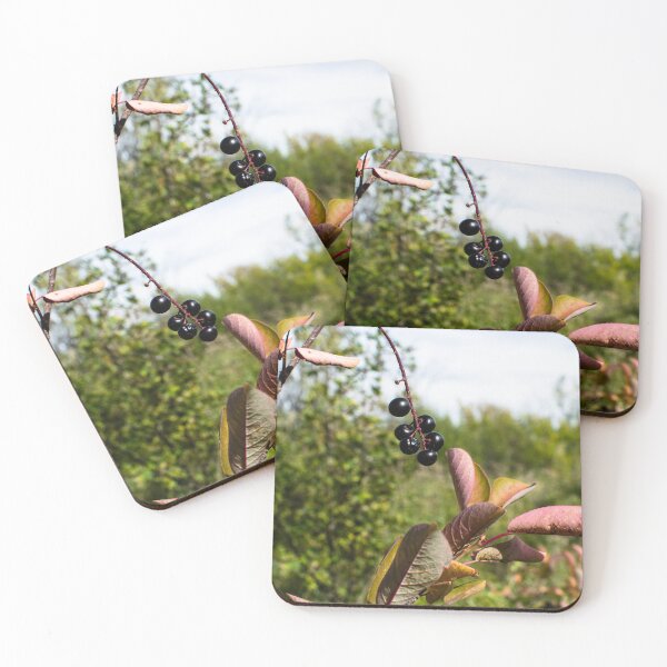 Item preview, Plants in the fall designed and sold by CanadianWild418.