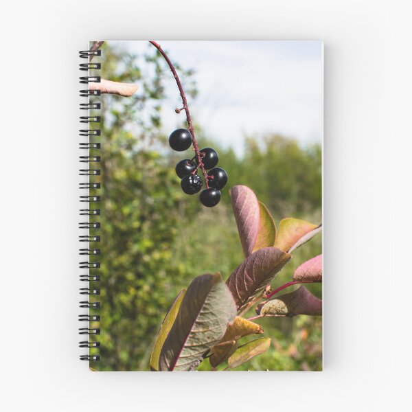 Item preview, Plants in the fall designed and sold by CanadianWild418.