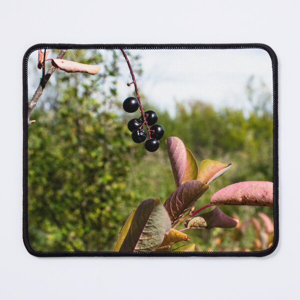 Item preview, Plants in the fall designed and sold by CanadianWild418.