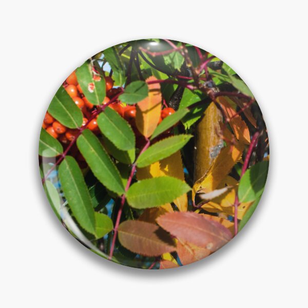 Item preview, Fall plant colours designed and sold by CanadianWild418.