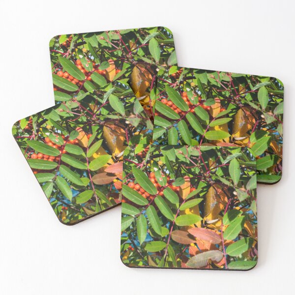 Item preview, Fall plant colours designed and sold by CanadianWild418.
