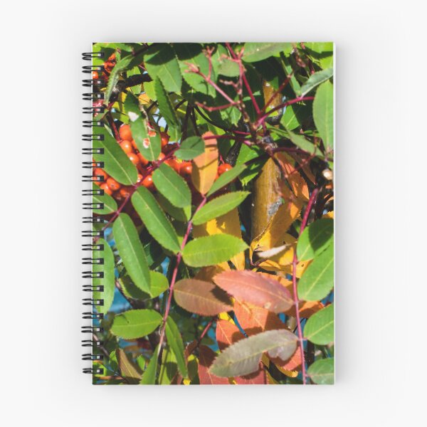 Item preview, Fall plant colours designed and sold by CanadianWild418.