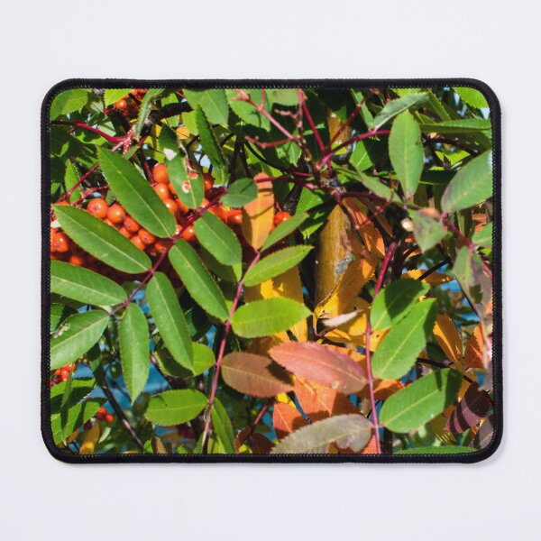 Item preview, Fall plant colours designed and sold by CanadianWild418.