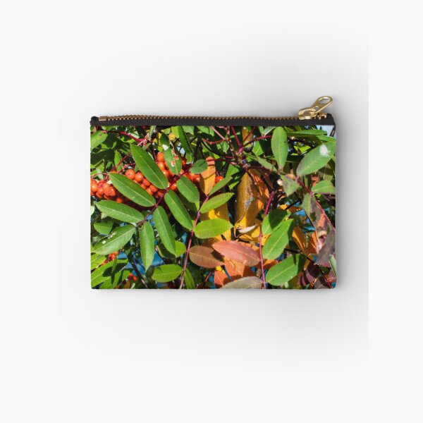 Item preview, Fall plant colours designed and sold by CanadianWild418.