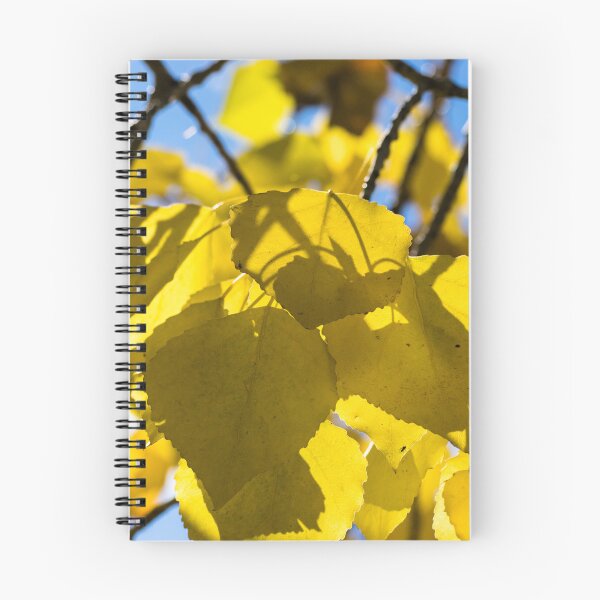 Item preview, Beautiful fall designed and sold by CanadianWild418.