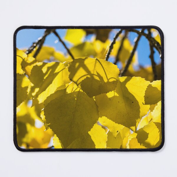 Item preview, Beautiful fall designed and sold by CanadianWild418.