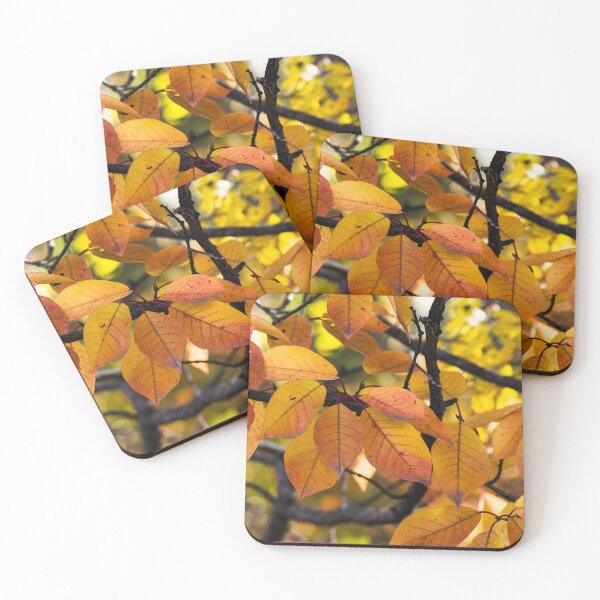 Item preview, Fall leaves designed and sold by CanadianWild418.