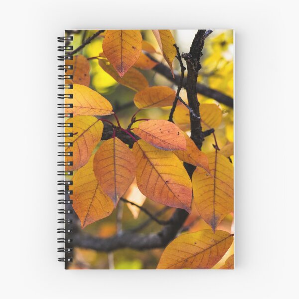 Item preview, Fall leaves designed and sold by CanadianWild418.