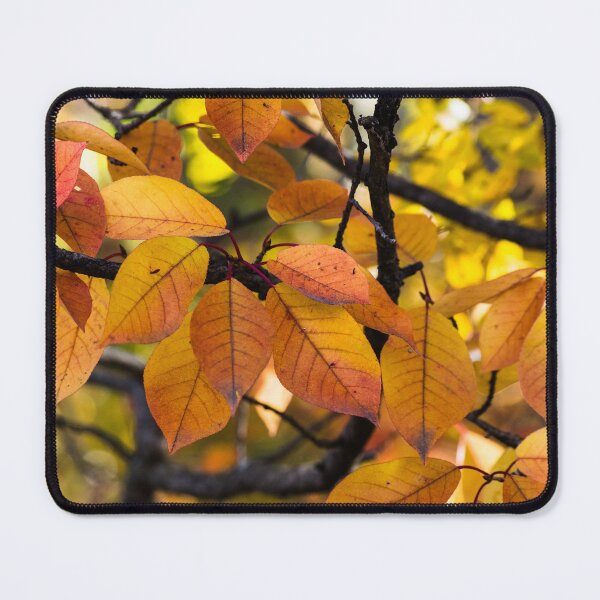 Item preview, Fall leaves designed and sold by CanadianWild418.