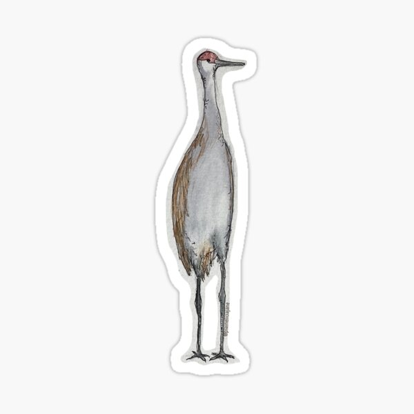 Item preview, Sandhill Crane designed and sold by Plain Elicia Jane.