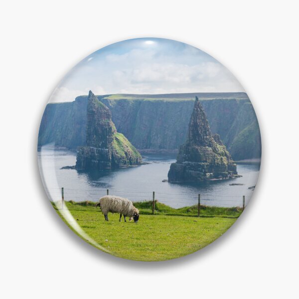 Artikelvorschau, Schafe grasen in Duncansby Head, Schottland entworfen und verkauft von Pascal-F.