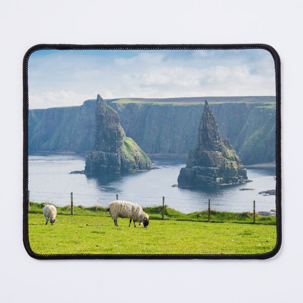 Item preview, Sheeps grazing à Duncansby Head, Scotland designed and sold by Pascal-F.