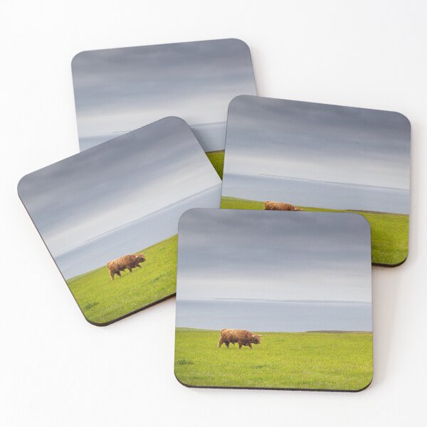 Item preview, Highland bull walking alone in a field in front of the North Sea designed and sold by Pascal-F.