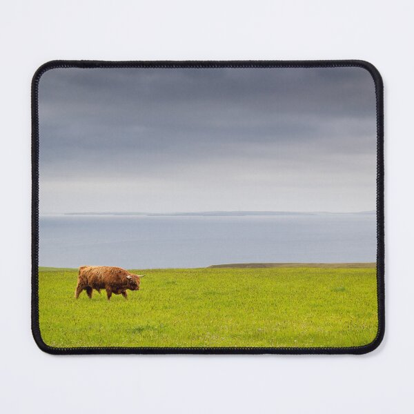 Item preview, Highland bull walking alone in a field in front of the North Sea designed and sold by Pascal-F.