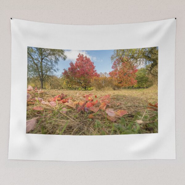 Item preview, Colores de otoño designed and sold by MichaelBShannon.