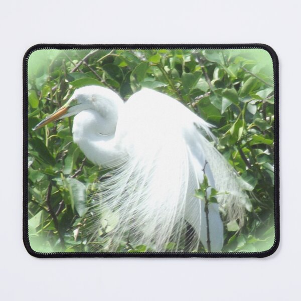 Item preview, Great White Heron Displaying Plumage designed and sold by KVB Design.