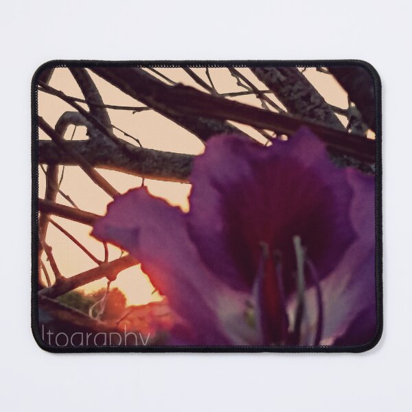 Item preview, Pointing At Sun designed and sold by kinkatstyle.
