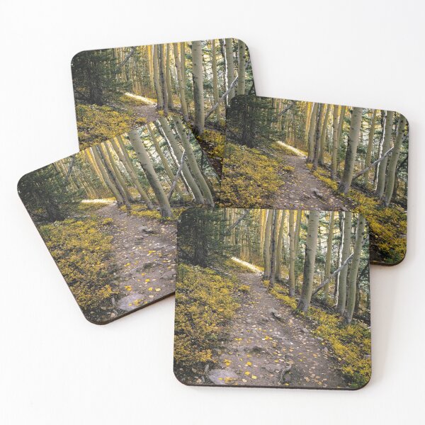 Item preview, Moody Autumn Path designed and sold by Brian Kerls Photography.