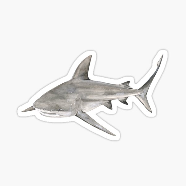 Artikel-Vorschau von BULLENHAI-Carcharhinus leucas, designt und verkauft von BEATRIZ ABAITUA.