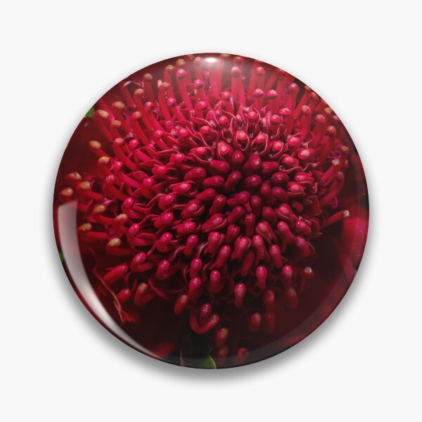 Item preview, Waratah Flower from Above designed and sold by peckofpickles.