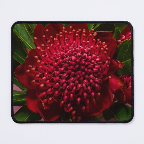 Item preview, Waratah Flower from Above designed and sold by peckofpickles.