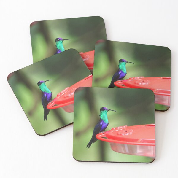 Item preview, Crowned Wood Nymph Hummingbird Alvaro Miranda Bird Photography designed and sold by Alvaro-Miranda.