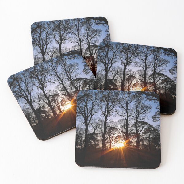 Item preview, Enchanting Forest Landscape Silhouette Background" designed and sold by hjian8219.
