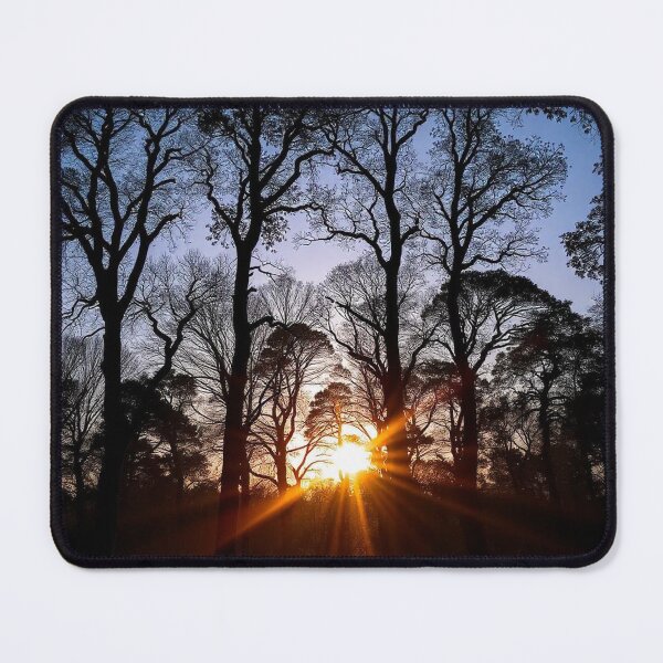 Item preview, Enchanting Forest Landscape Silhouette Background" designed and sold by hjian8219.