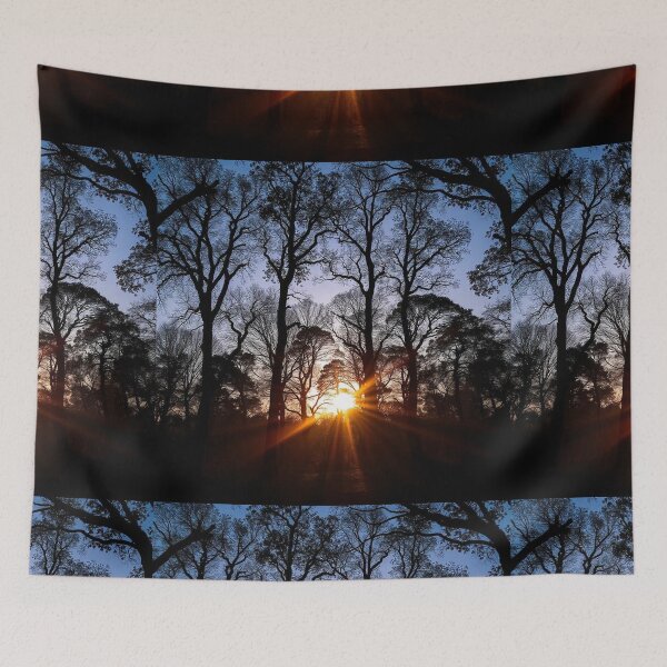 Item preview, Enchanting Forest Landscape Silhouette Background" designed and sold by hjian8219.