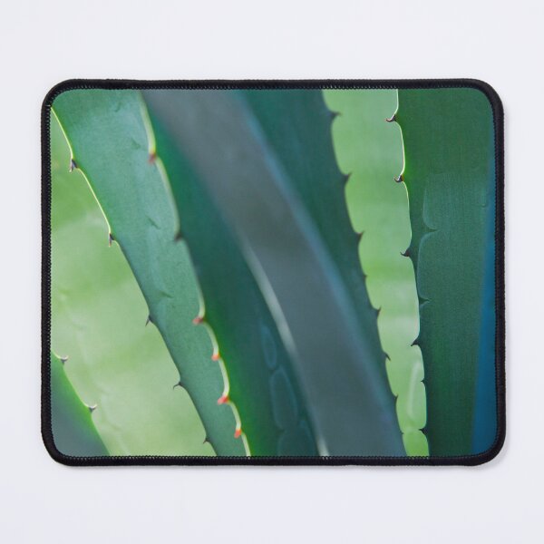 Artikelvorschau, Agave Closeup 002 entworfen und verkauft von Tim McGuire Fine Art.