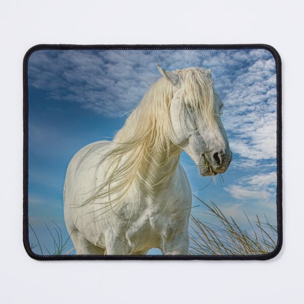 Item preview, Camargue white Stallion having lunch in the Dunes designed and sold by HelkoryoArt.