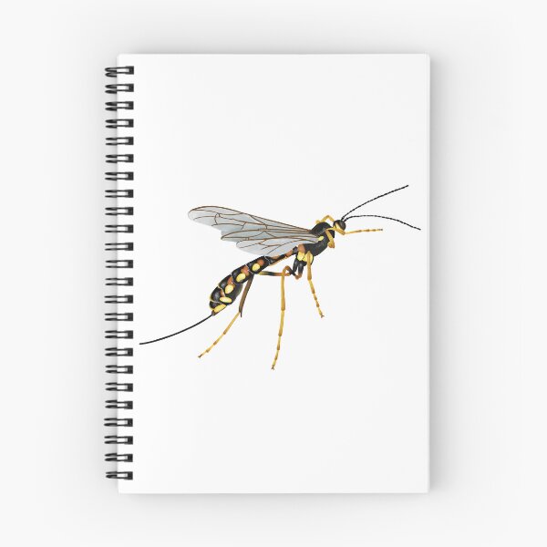 Item preview, Western Giant Ichneumonid Wasp designed and sold by crunchycreative.
