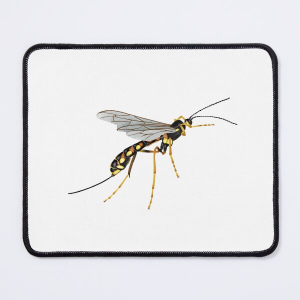 Item preview, Western Giant Ichneumonid Wasp designed and sold by crunchycreative.