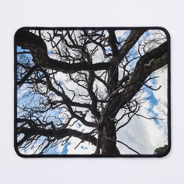 Item preview, Tree branches and Sky designed and sold by Tim McGuire Fine Art.