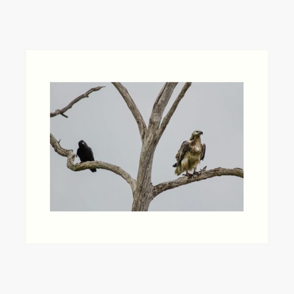 The Odd Couple Art Print