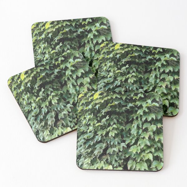 Item preview, Wall of Ivy 001 designed and sold by JWDanielson.