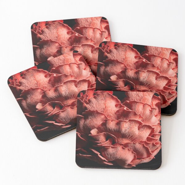 Item preview, Full Fruiting of Pink Oyster Mushrooms on Black Velvet designed and sold by peckofpickles.
