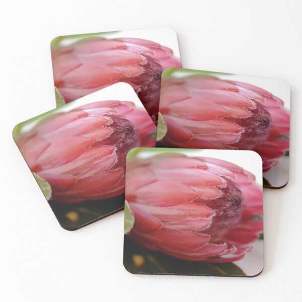 Item preview, Beauty of the Protea designed and sold by imaginethis.