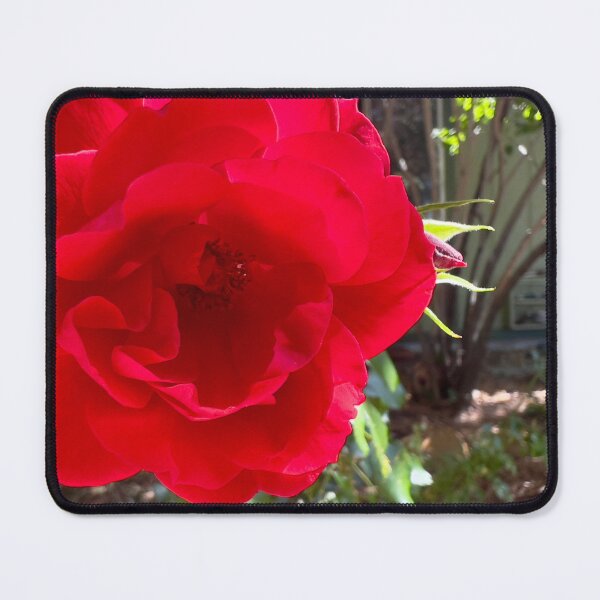 Item preview, Vibrant Red designed and sold by Betsy Phillips.