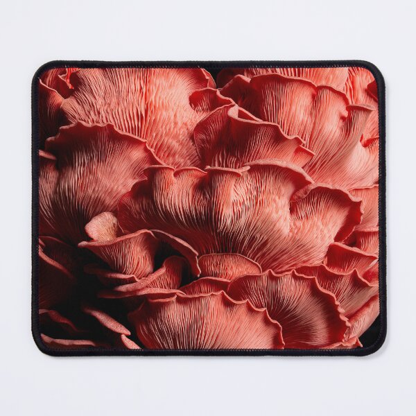 Item preview, Full Fruiting of Pink Oyster Mushrooms on Black Velvet designed and sold by peckofpickles.