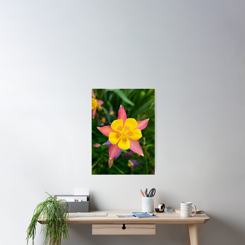 Item preview, Poster designed and sold by RocDrAdventures.