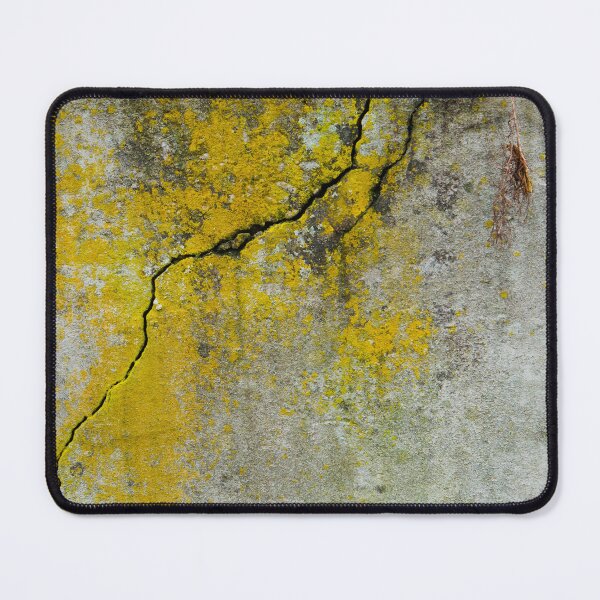 Item preview, Crack and Lichen designed and sold by Tim McGuire Fine Art.