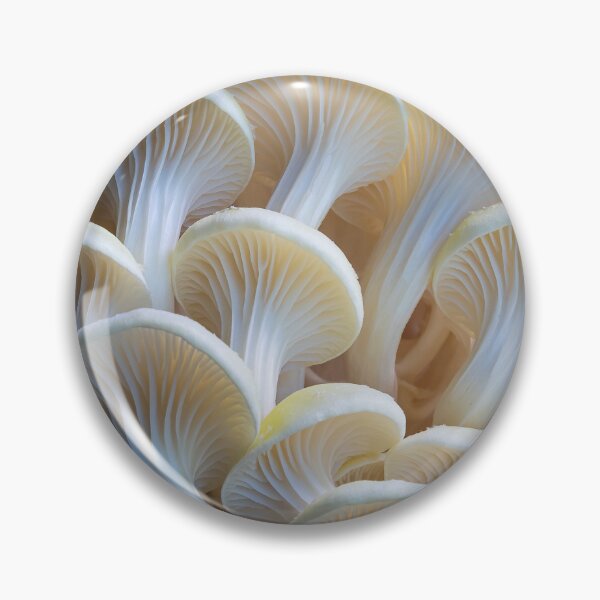 Item preview, Patterns of Yellow Oyster Mushrooms Underside designed and sold by peckofpickles.