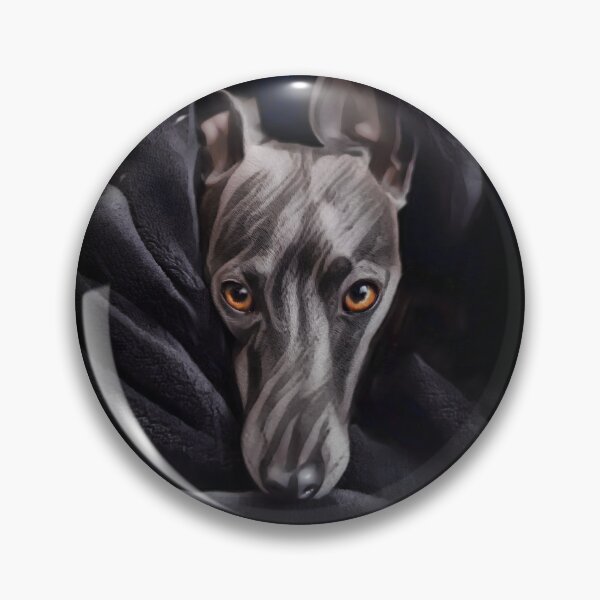 Item preview, Brindle Greyhound In Blankets designed and sold by Heathermarie321.